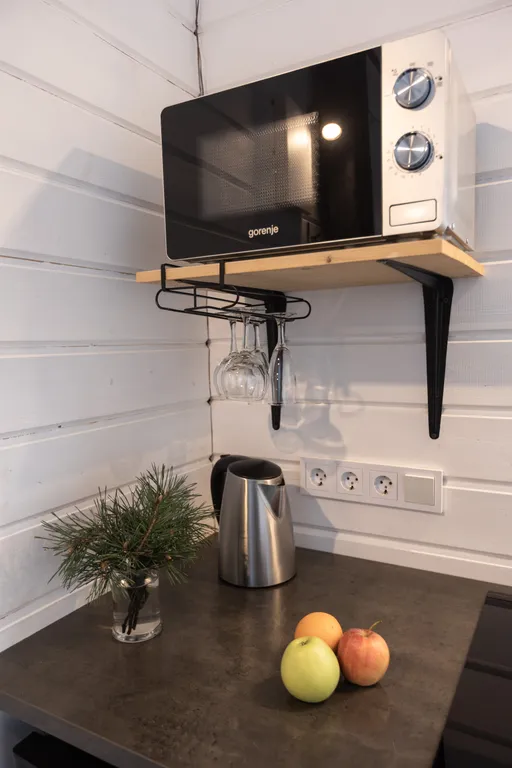 Новый дом-студия Fox Nose