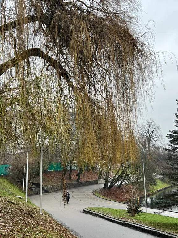 Озерный кабинет-квартира у Нижнего Озера