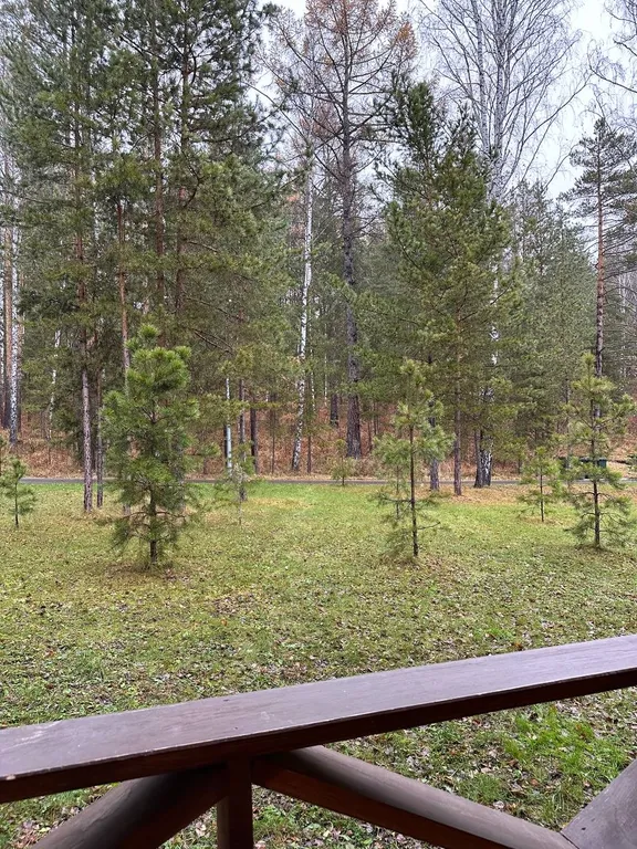 Студия с видом на лес