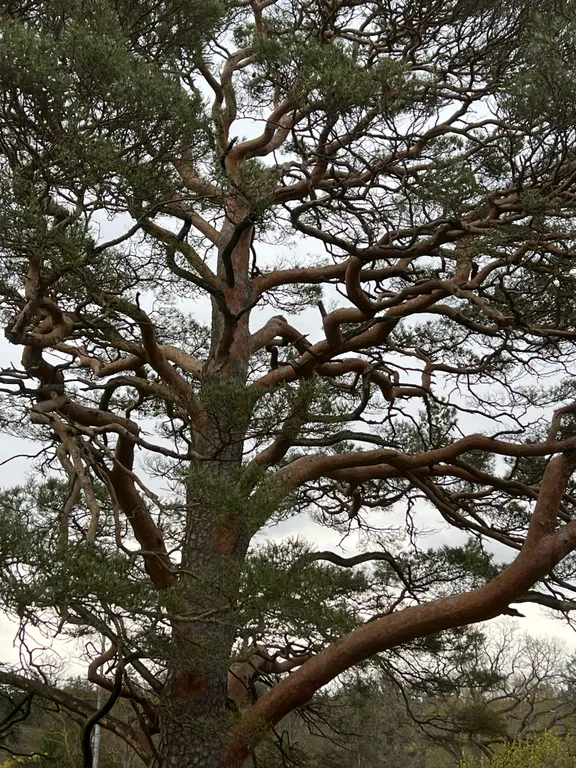 Уютная 2-комнатная квартира на берегу Балтийского моря в Светлогорске