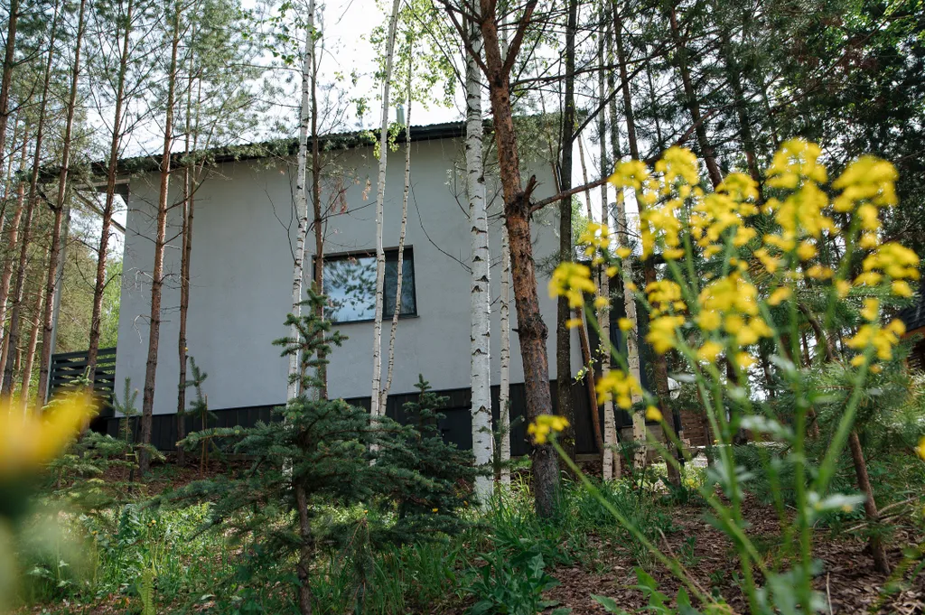 Уютный новый дом у хвойного леса в черте города