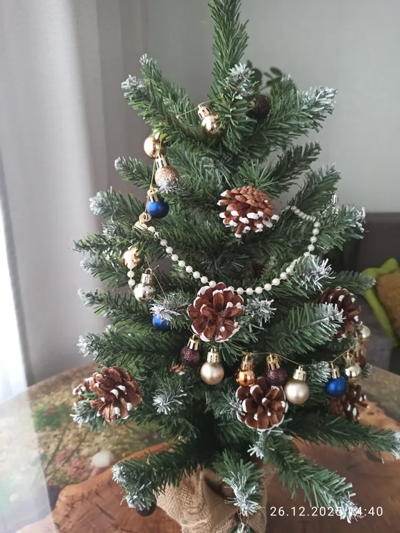 Квартира 2-комнатная видовая квартира — Красноярск