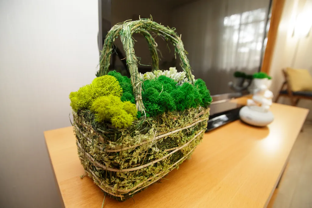 ДзенХоум Умиротворение