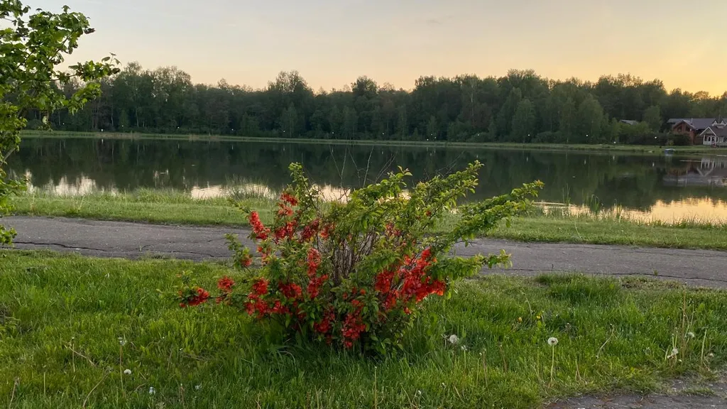 Дом для отдыха Лесные озера