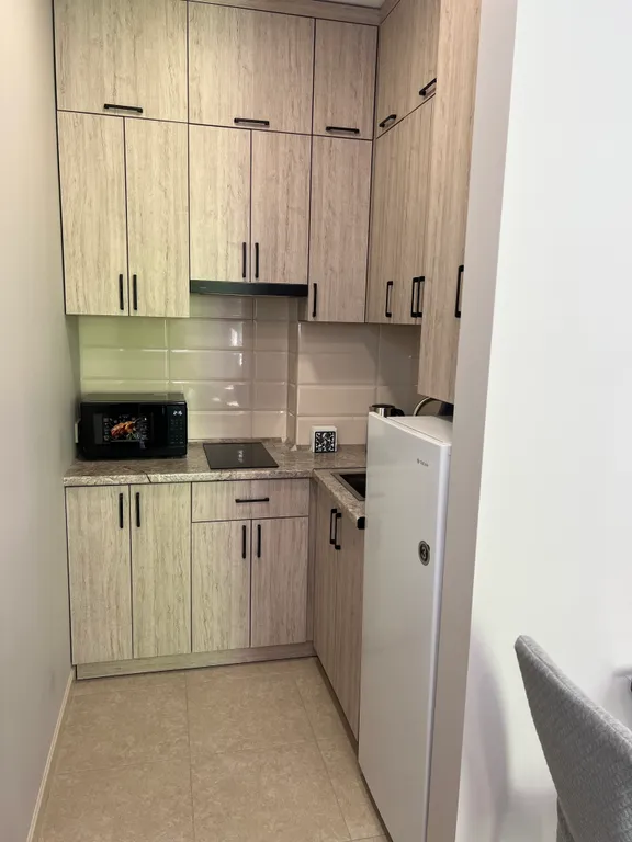 Квартира 1-комнатная Квартира — Сириус