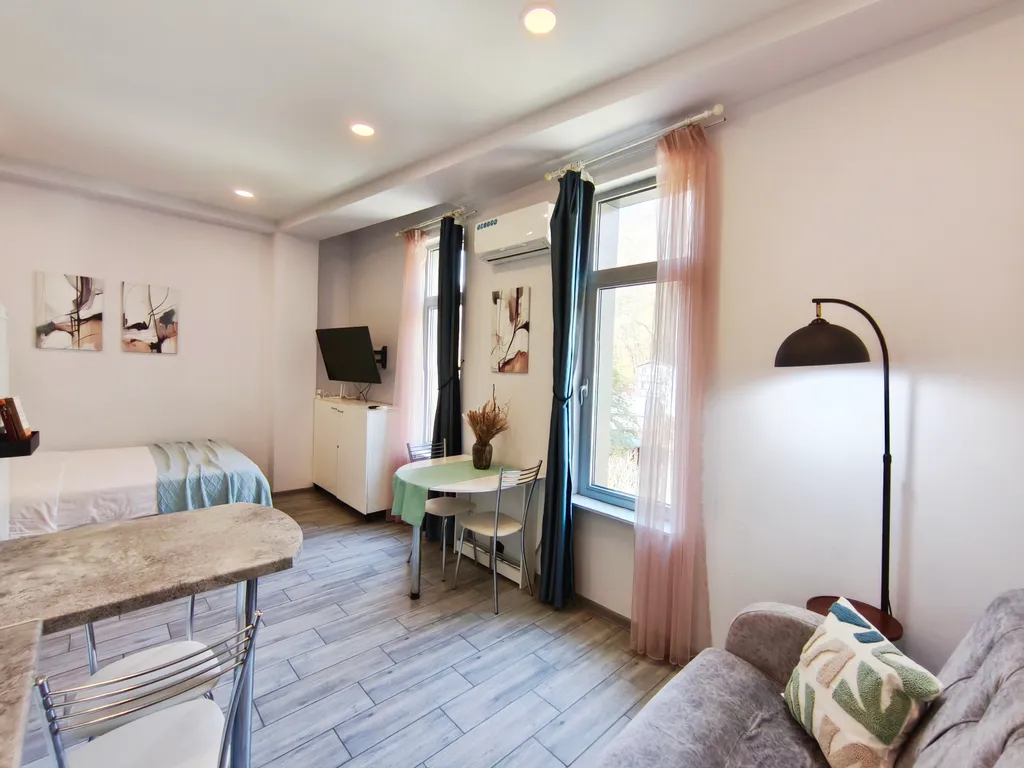 Уютная студия с видом на горы