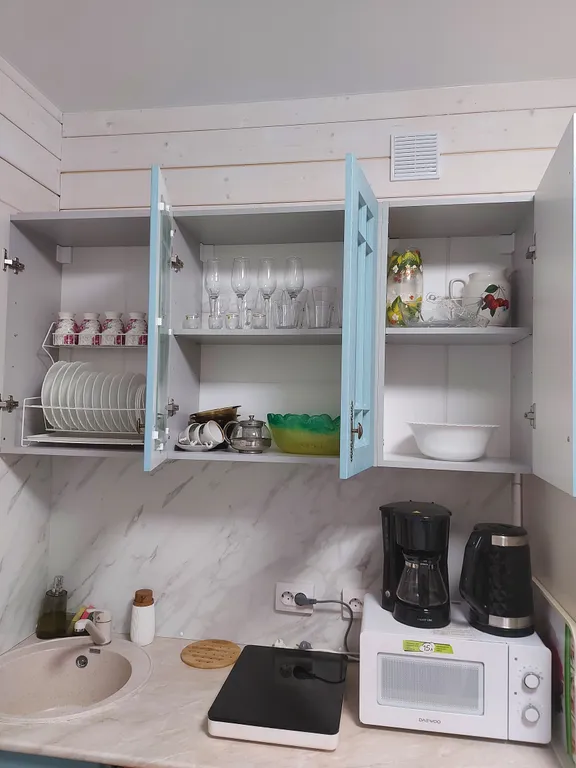 Уютный новый дом в сосновом лесу на берегу Финского залива