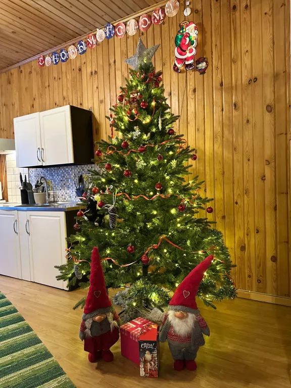 Дом c финской дровяной сауной и отдельной баней в Карелии