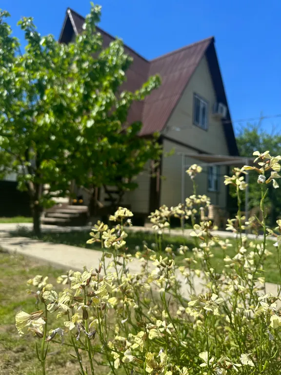 Эко Шале Лимон