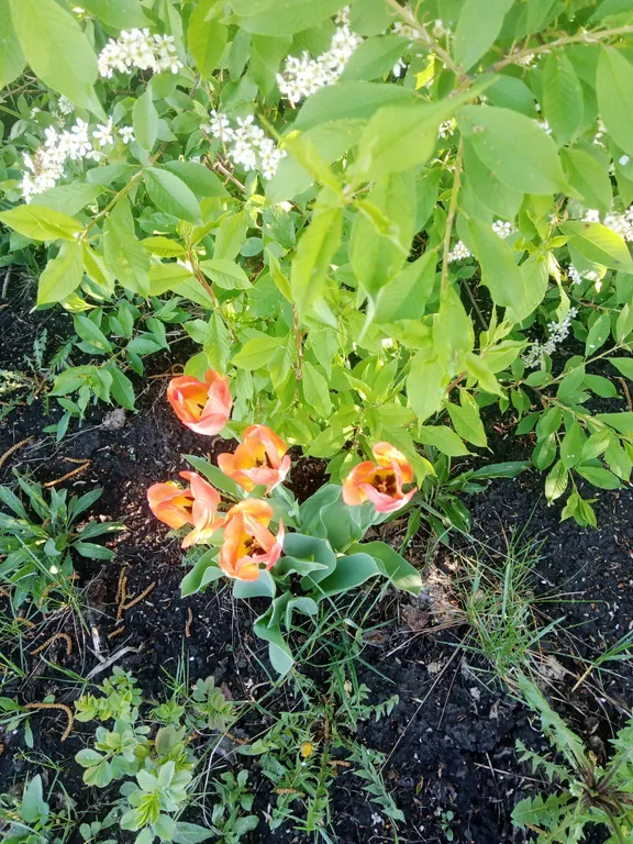 Незабываемый отдых в уютном коттедже на праздники