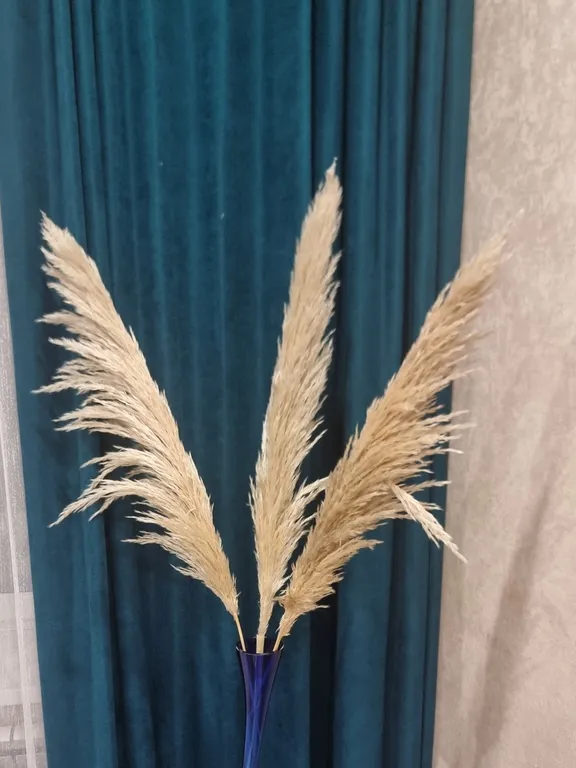 Центр - Театр- Горпарк