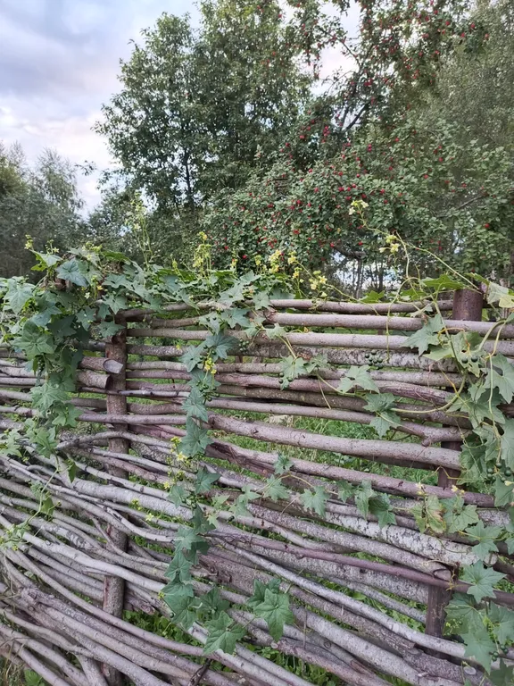 Коттедж Домик в деревне — Ярославль