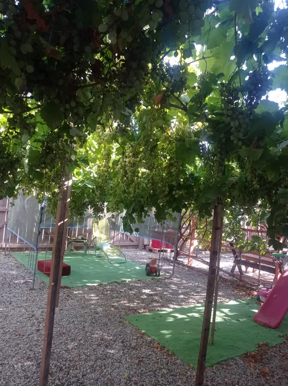 Квартира Комната — Витино