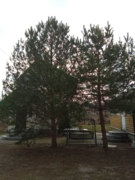 Уютный коттедж до 10 гостей с удобной локацией для торжеств и отдыха