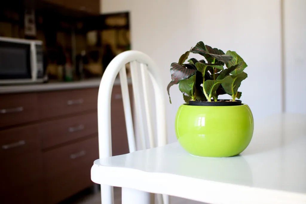 Красивая и уютная студия