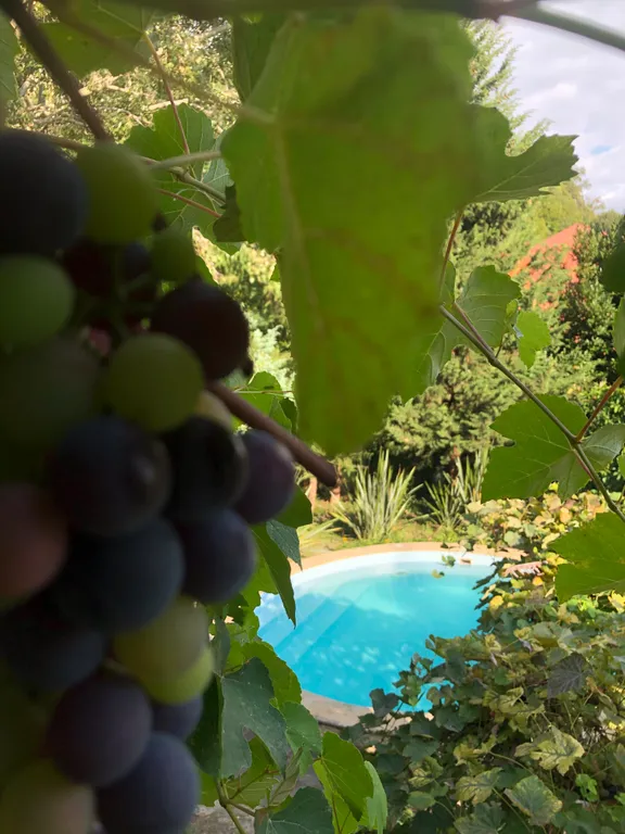 Два дома на море с бассейном и садом