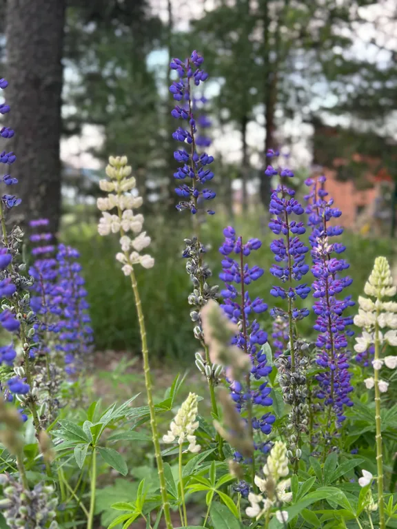 Квартира Семейный апартамент с 2 спальнями и кухней-гостиной — Мичуринское