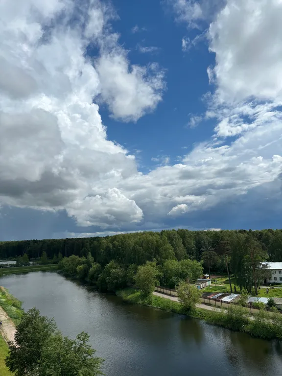 Квартира с видом на пруд и лес