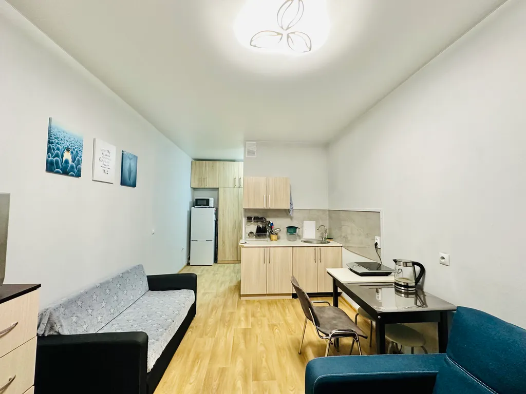 Квартира Пингвин в гараже — аренда посуточно в Краснодар