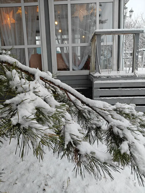 Дом Фламинго