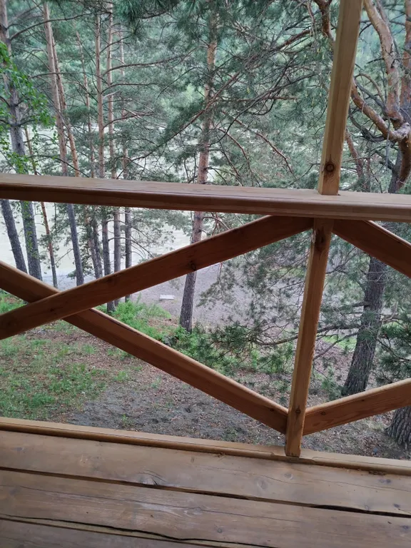 Уютный домик на берегу Катуни