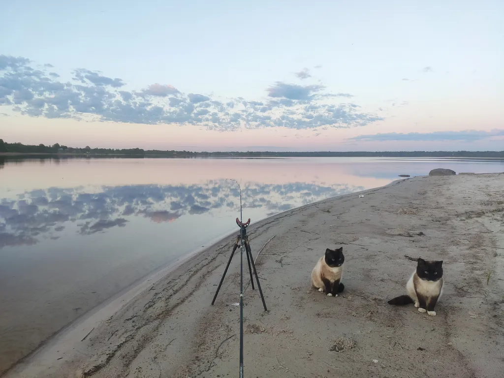 Дуплекс на берегу Селигера