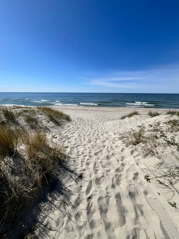 Уютный домик в сосновом бору на берегу моря