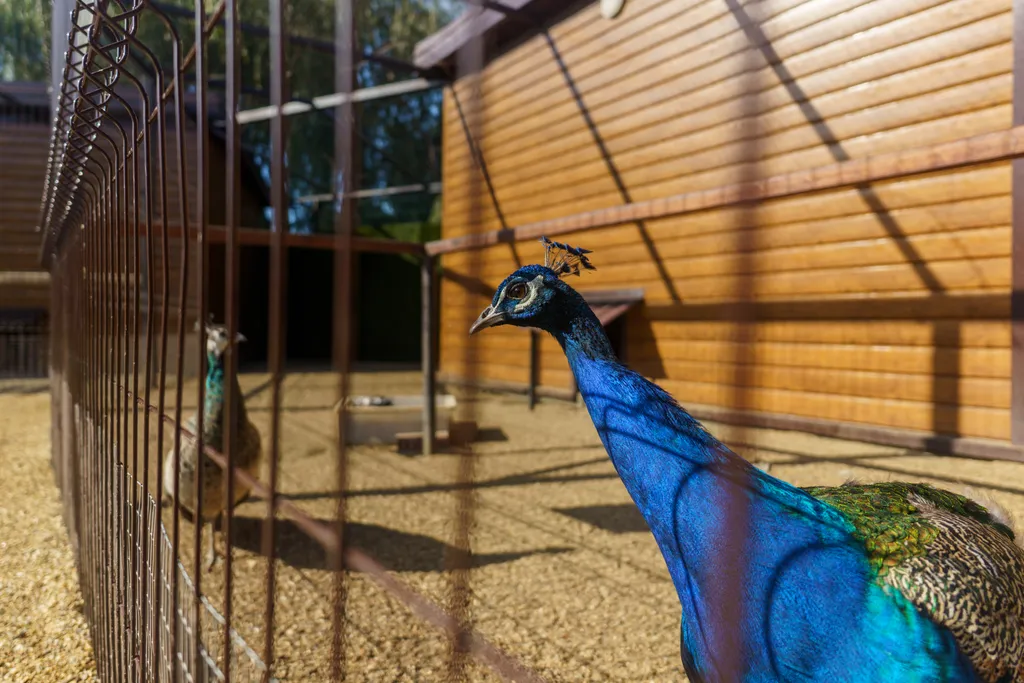 Стандартный номер на двоих