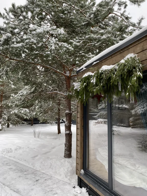Скандинавский дом с ванной внутри и видом на лес