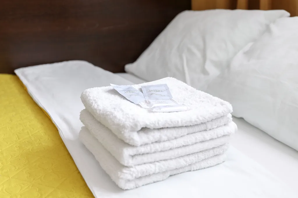 Одноместная студия в центре, отчетные документы