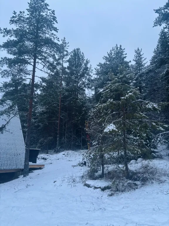 А-фрейм в лесу с банным чаном