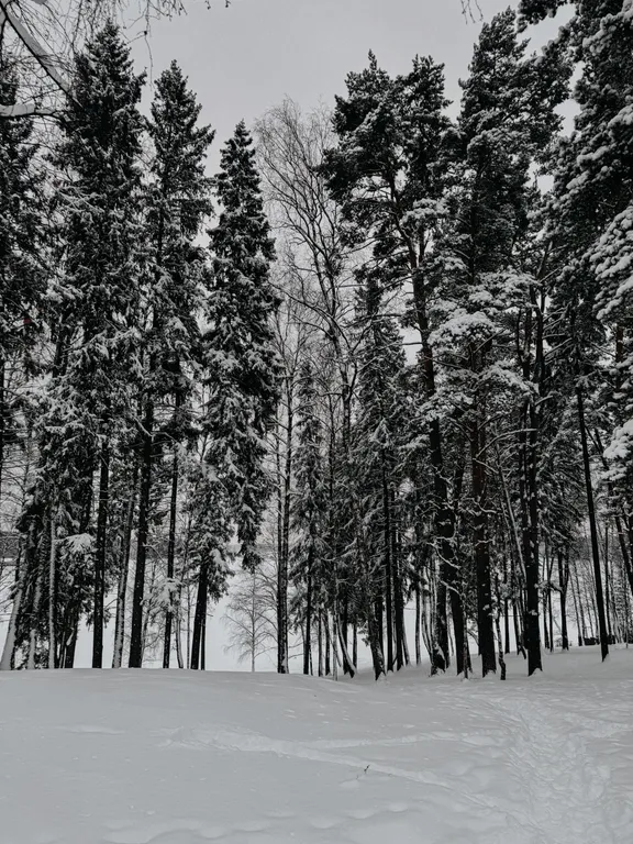 Коттедж Олива дом — Лопотово