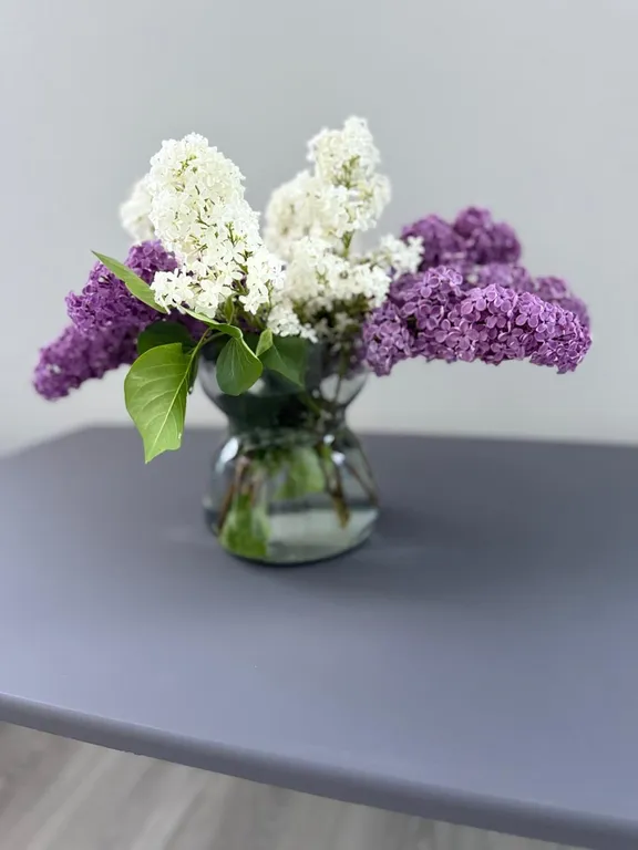 Коттедж «Люкс»