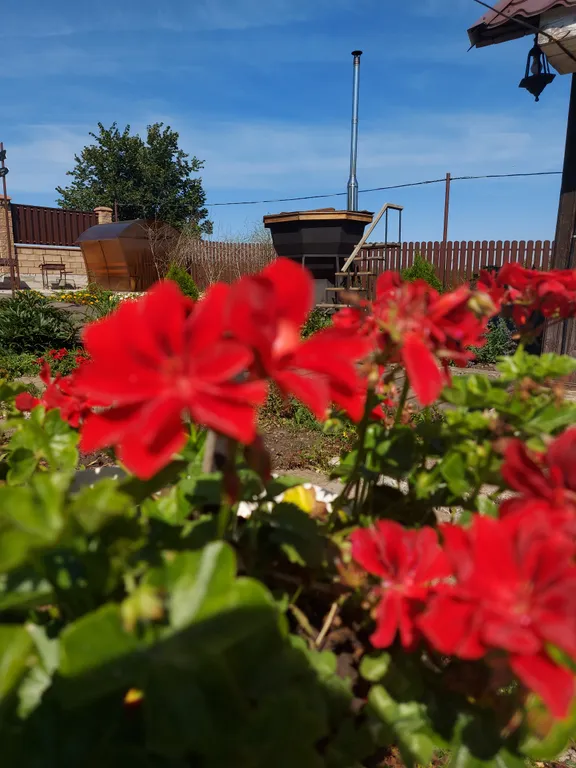 Дом вместимостью до 4 гостей в глэмпинге Улей