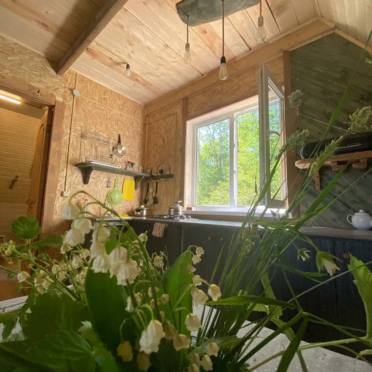 Авторский домик  В ЛЕСУ - "ШалаШик"