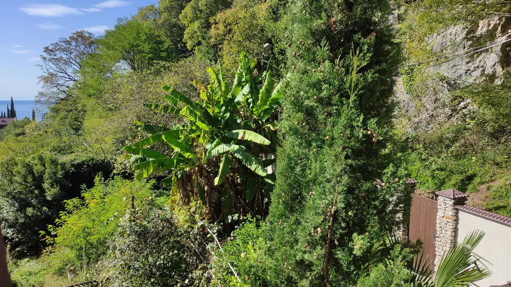 Квартира Комната — Гагра