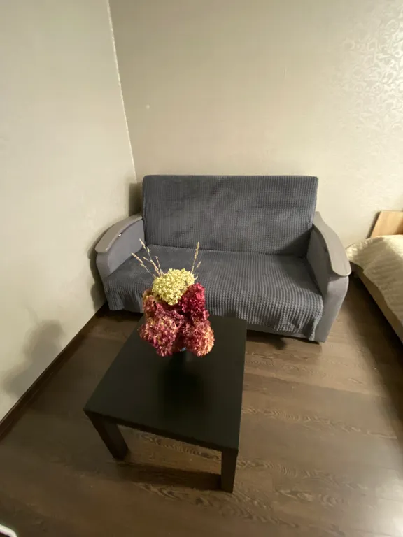 Квартира Уютная квартира в самом центре Ново-Савиновского района — Казань