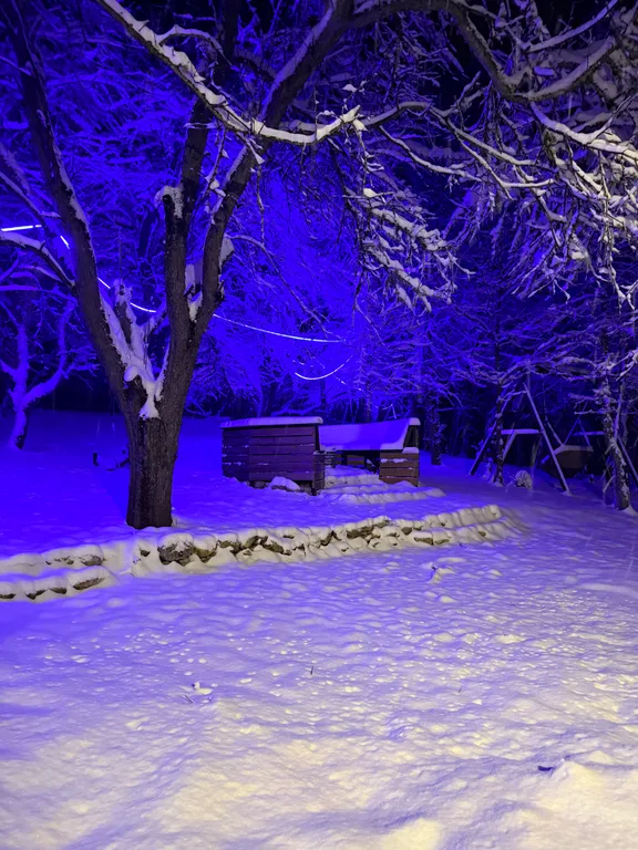 Домик в лесу