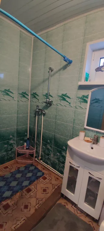 Уютный дом на живописном берегу реки Янис