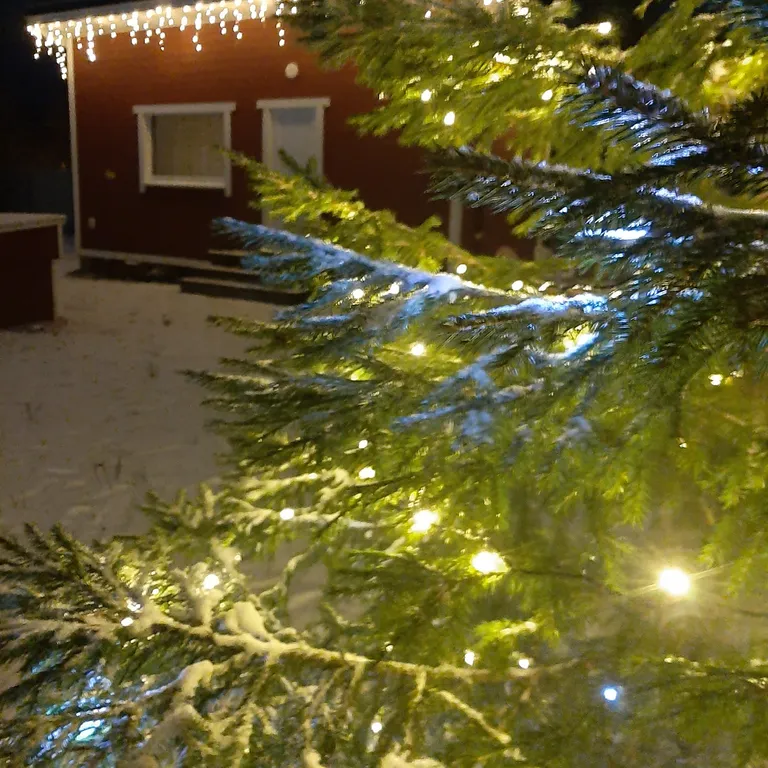 Коттедж Уютный гостевой домик в пригороде Петрозаводска — Чална