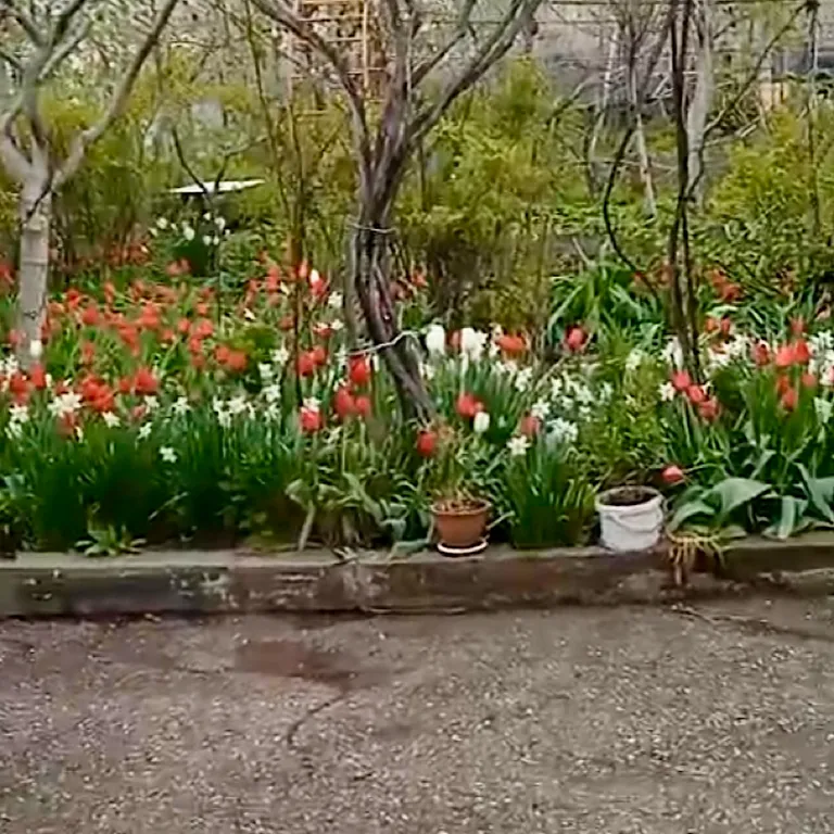 Домик с цветущим садом