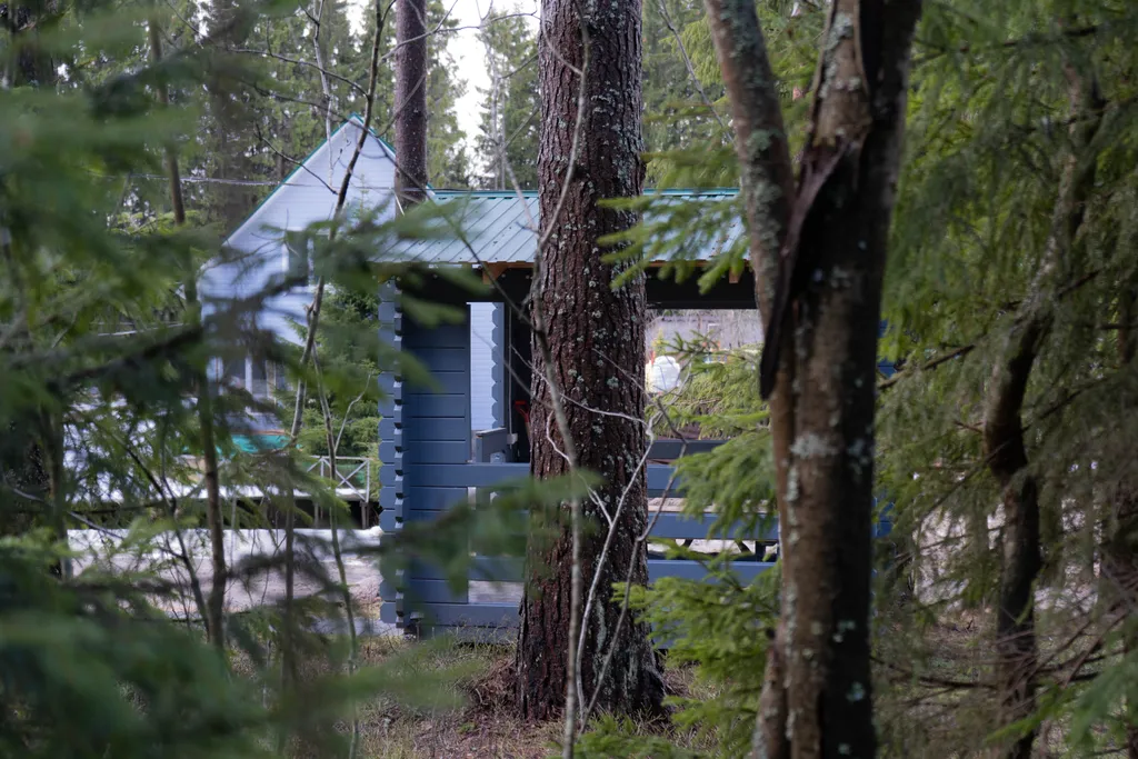 Коттедж Большой дом с баней и купелью — Иваново (Ленинградская область)