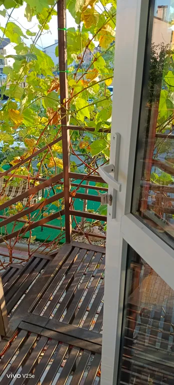 1-комнатная квартира с видом на море и пицундские сосны райский уголок