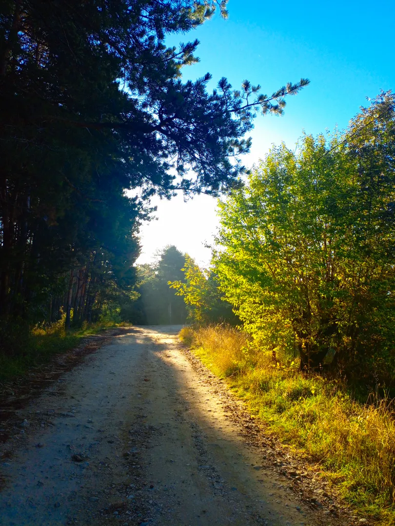 До автобусной остановки 10 минут пешком 