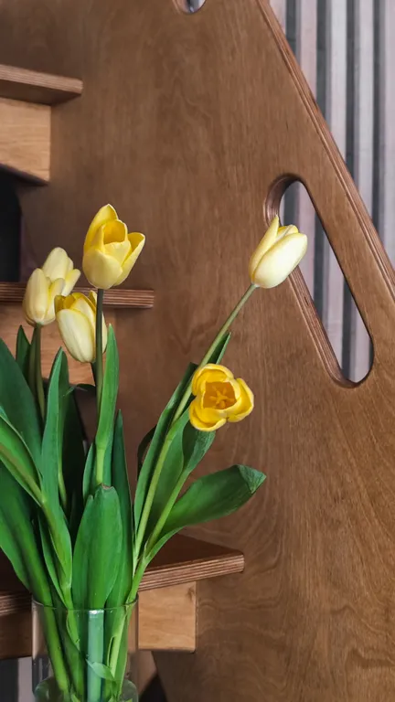 Глэмпинг парк ВМесте