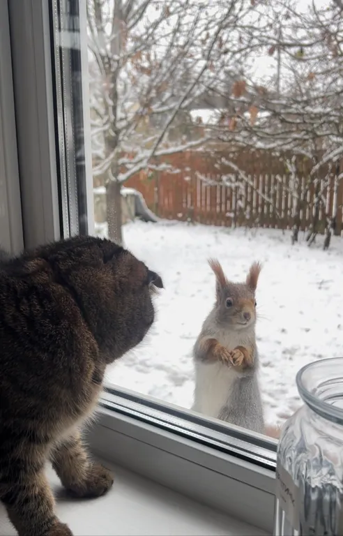 Уютный теплый дом с выходом в лес, 40 минут от Москвы со своей территорией