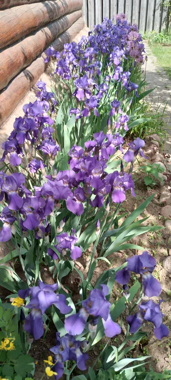 Домик с русской печкой и со всеми удобствами