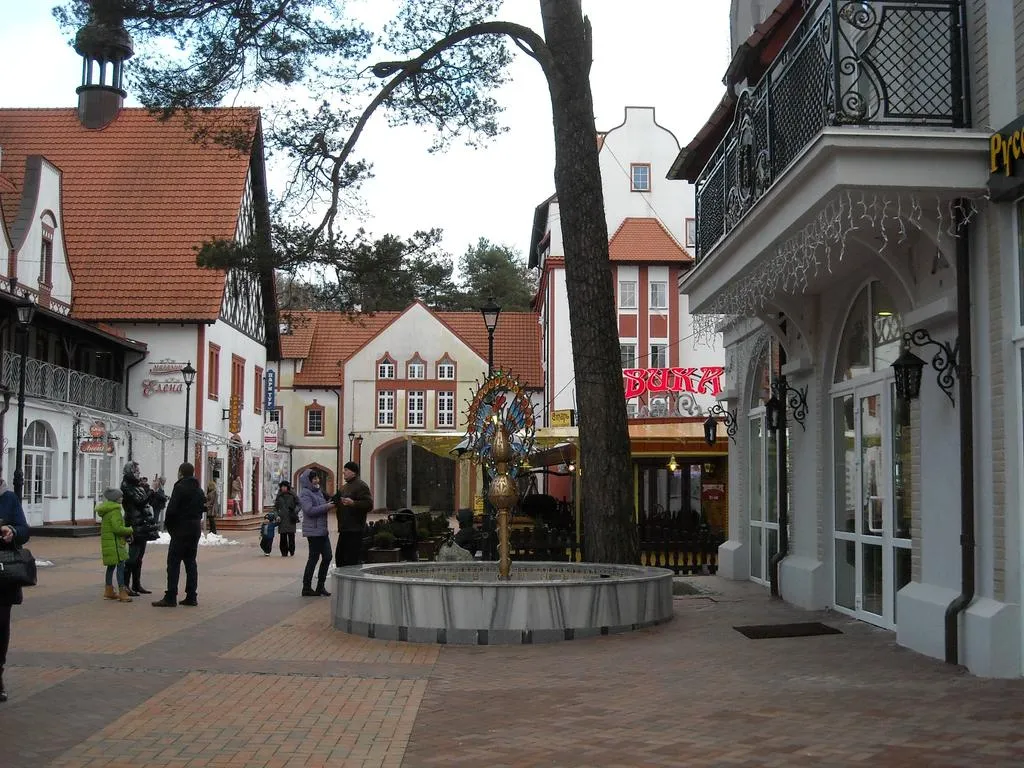 Квартира 1-комнатная Квартира — Светлогорск