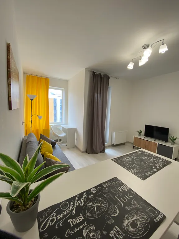 Квартира Квартира Lemon Tree Apart — Санкт-Петербург