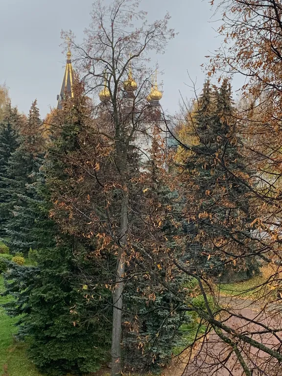 Уютная просторная квартира в самом центре Городца